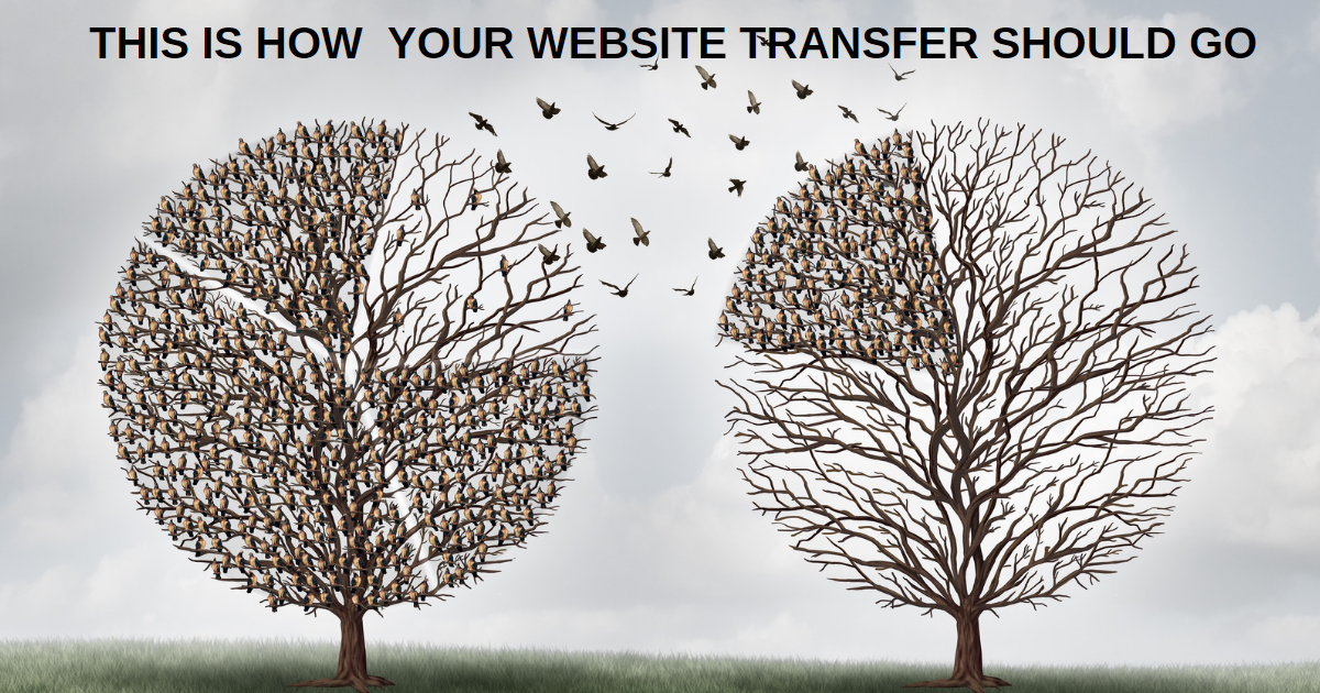 Website Migration Made Easy: A Guide to Safely Transferring Your Site to a New Platform or Domain